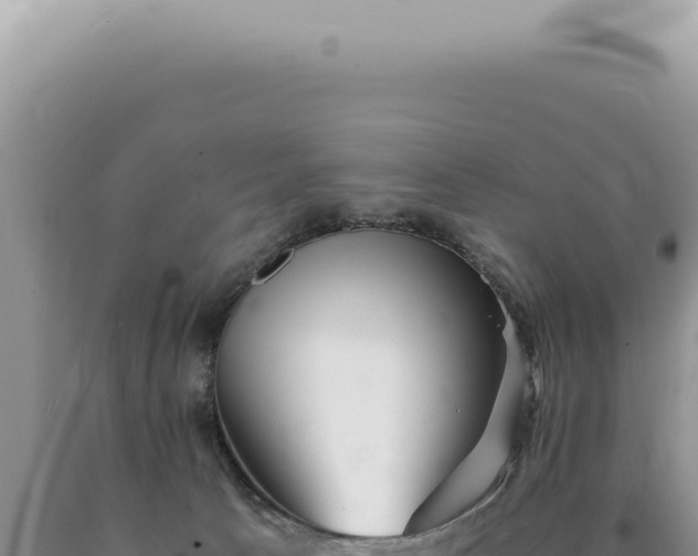X0000090780033200707271558