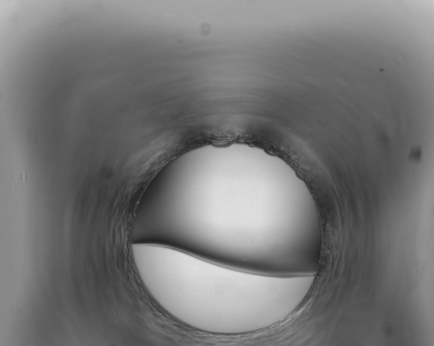 X0000090780037200707271558