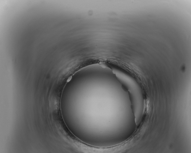 X0000090780039200707271558