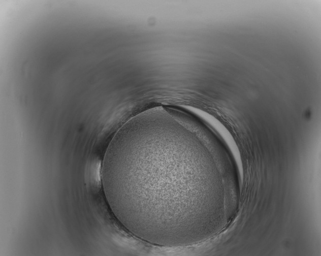 X0000090780041200707271558