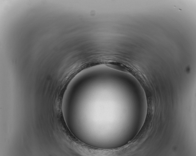 X0000090780044200707271558