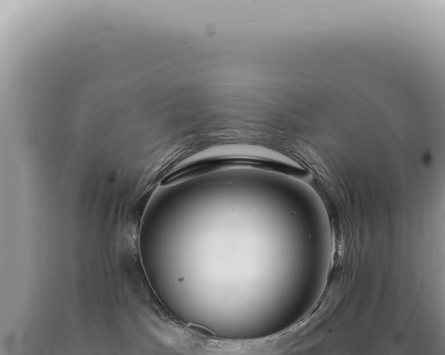 X0000090780045200707271558