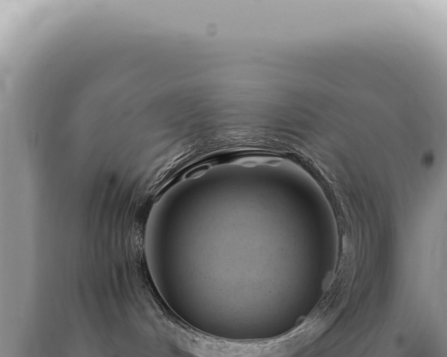 X0000090780048200707271558