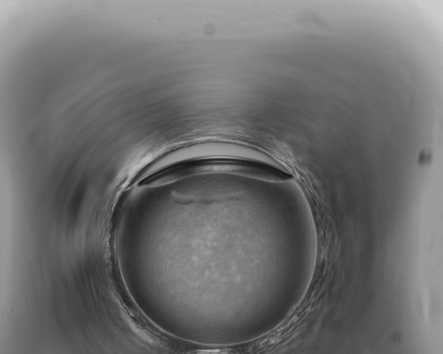 X0000090780050200707271557
