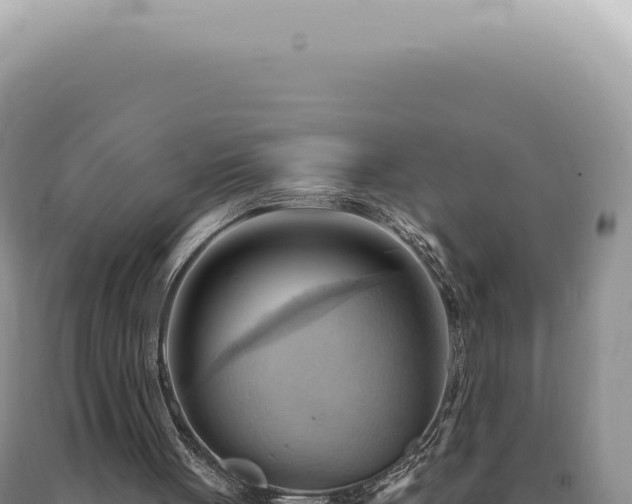 X0000090780051200707271557