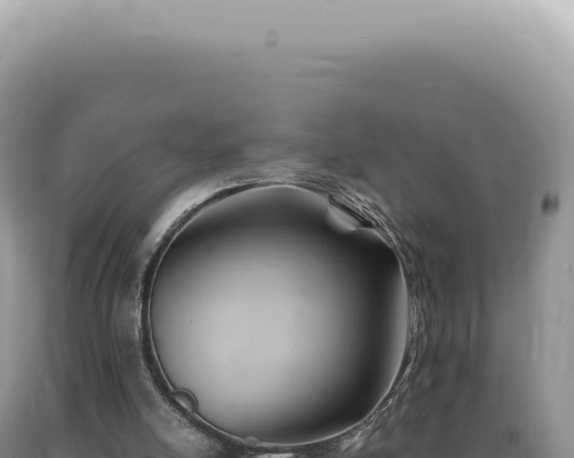 X0000090780054200707271558
