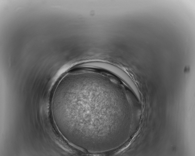 X0000090780056200707271558
