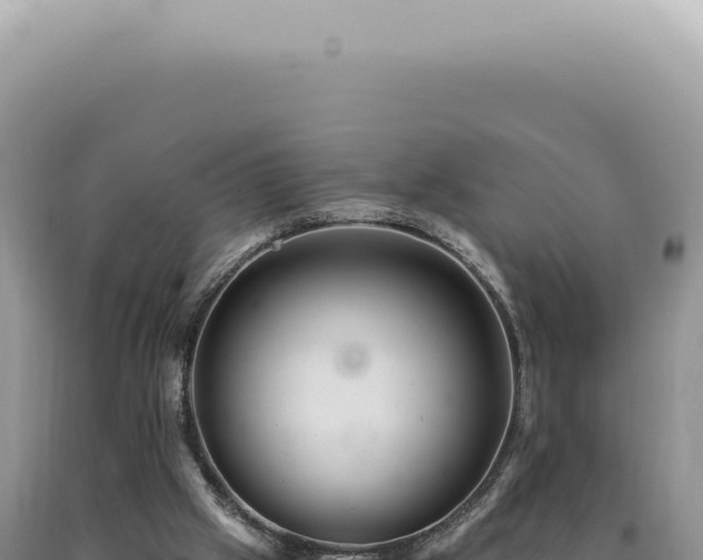 X0000090780057200707271558