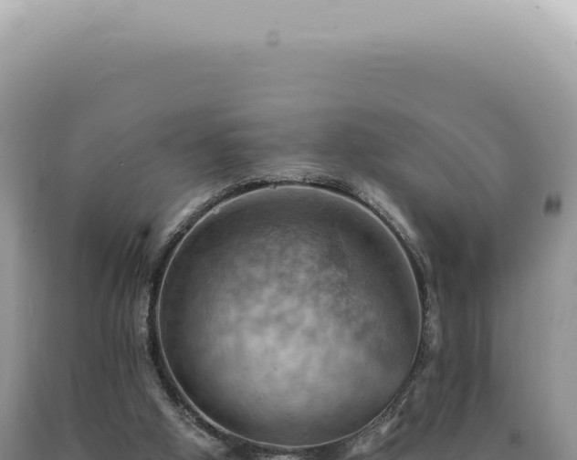 X0000090780058200707271558