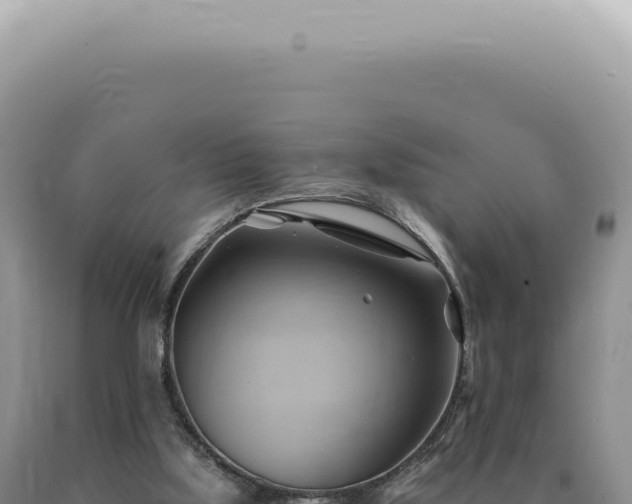 X0000090780059200707271558