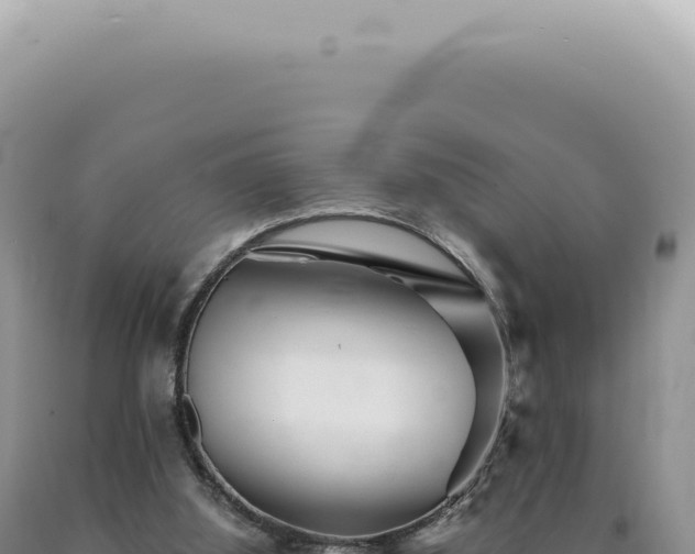 X0000090780060200707271558
