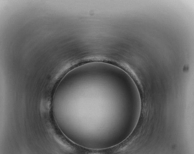 X0000090780063200707271558