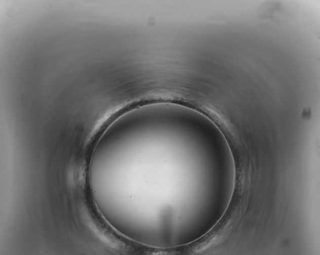 X0000090780064200707271558