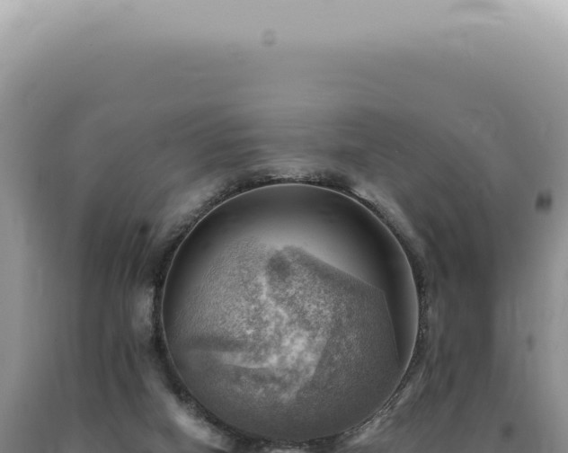 X0000090780066200707271558