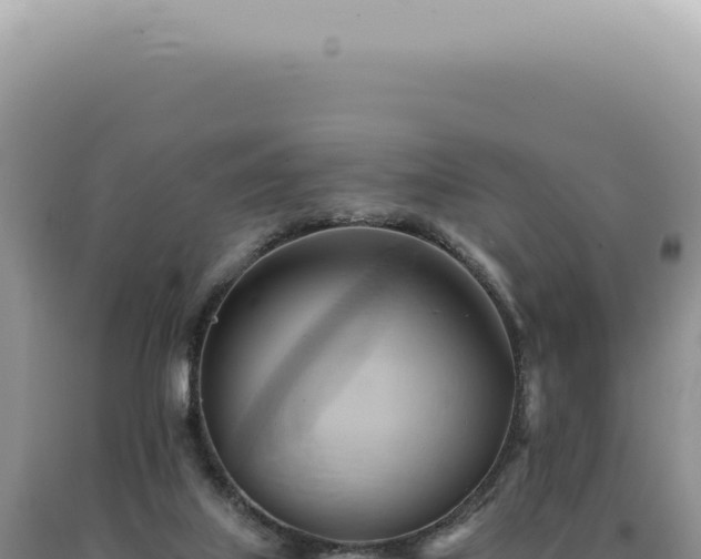 X0000090780067200707271558