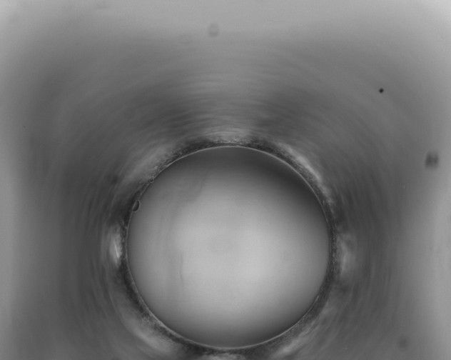 X0000090780069200707271558