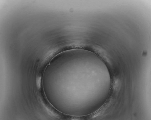 X0000090780070200707271558