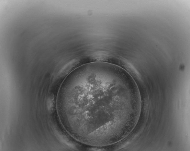 X0000090780073200707271558