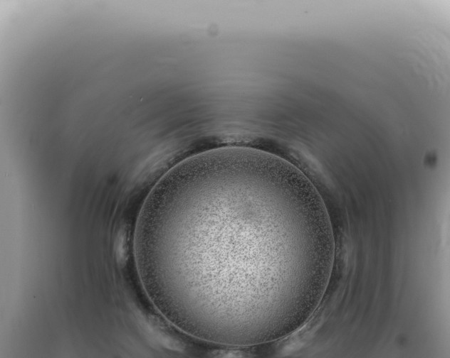 X0000090780074200707271558