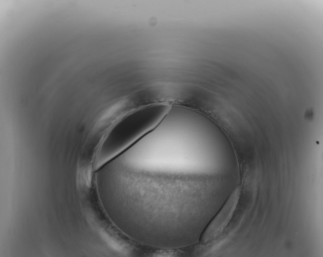 X0000090780076200707271558