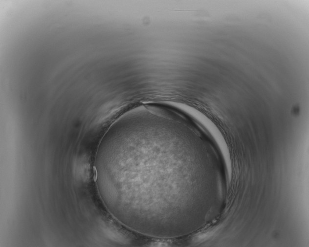 X0000090780080200707271558