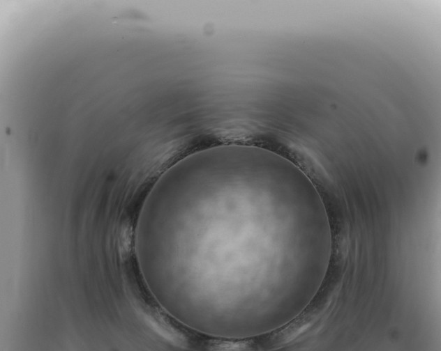 X0000090780081200707271558