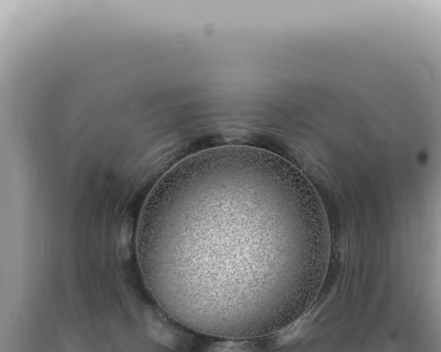 X0000090780082200707271558