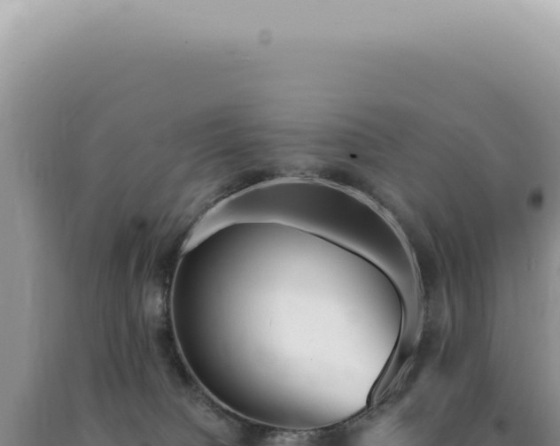 X0000090780084200707271558