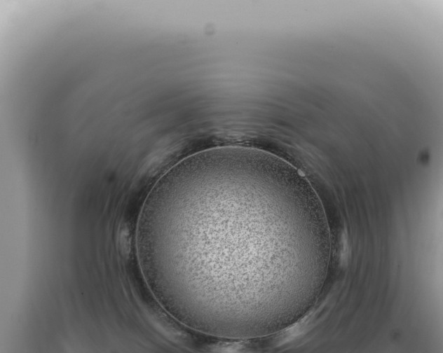 X0000090780086200707271558