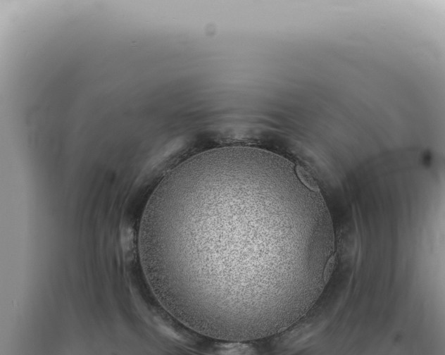 X0000090780087200707271558