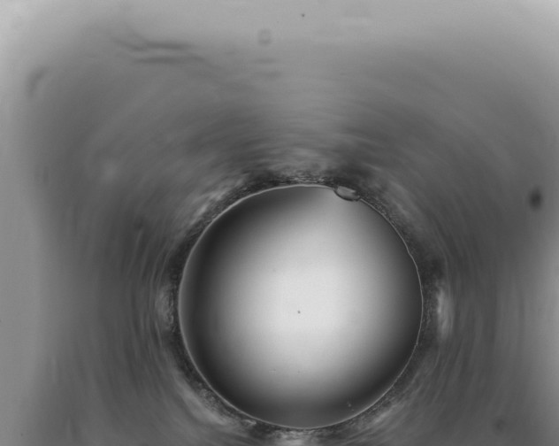 X0000090780088200707271558