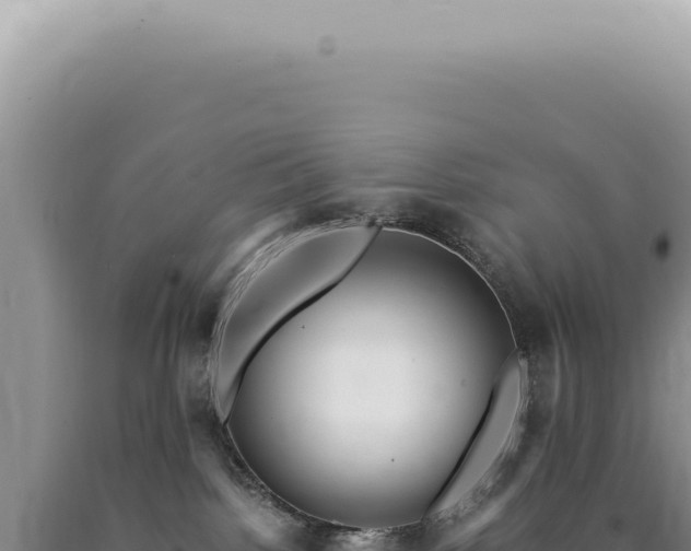 X0000090780092200707271558