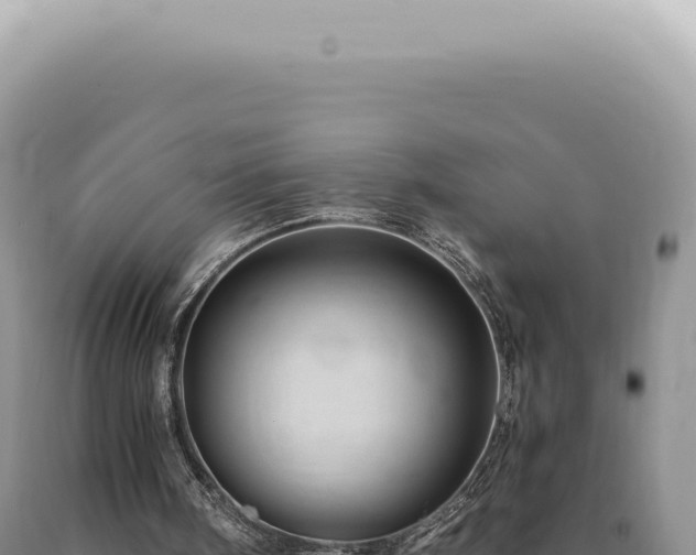 X0000090780098200707271557
