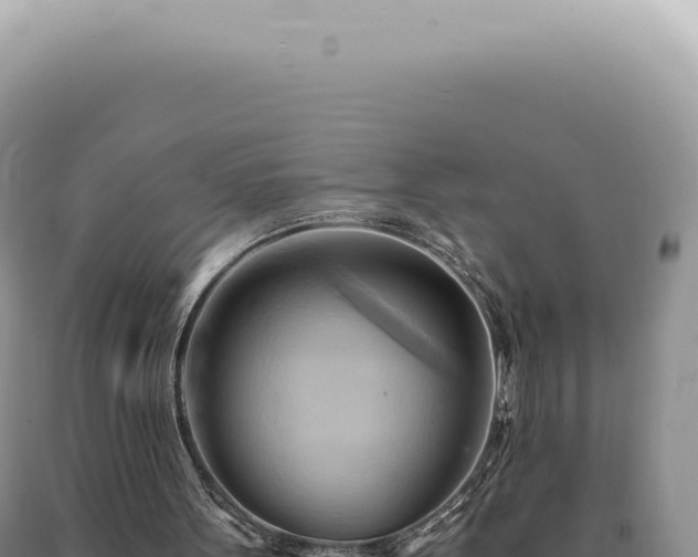 X0000090780099200707271557