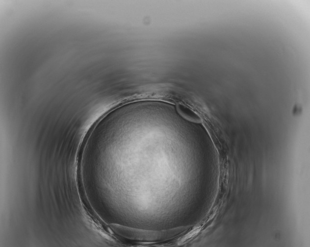 X0000090780100200707271557