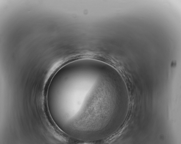 X0000090780102200707271557