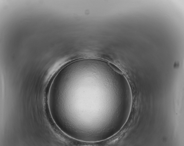 X0000090780103200707271557