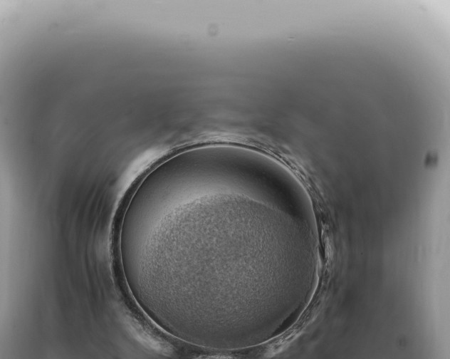 X0000090780104200707271557