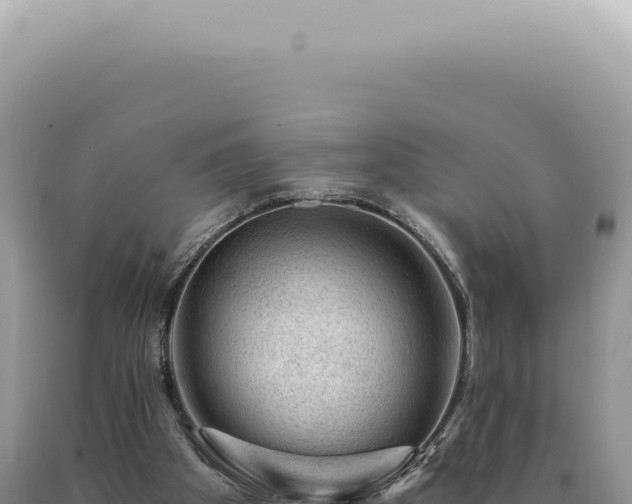 X0000090780105200707271557