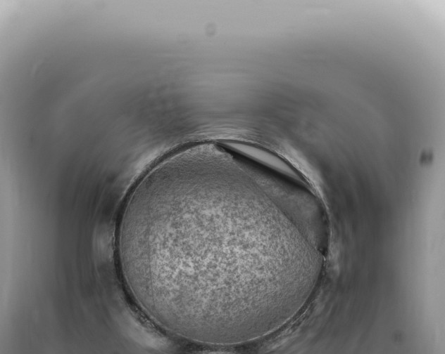 X0000090780107200707271557