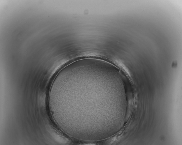 X0000090780108200707271557