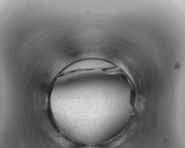 X0000090780109200707271557