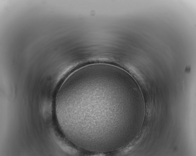 X0000090780112200707271557