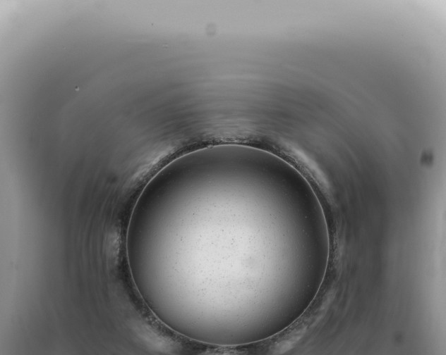 X0000090780113200707271557