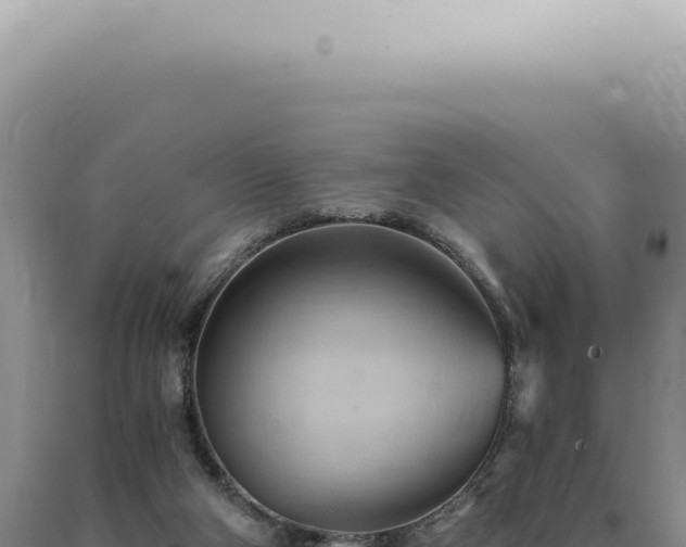 X0000090780114200707271557