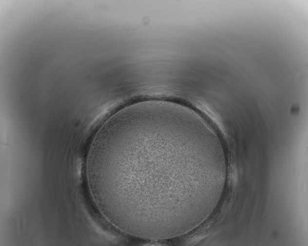 X0000090780115200707271557