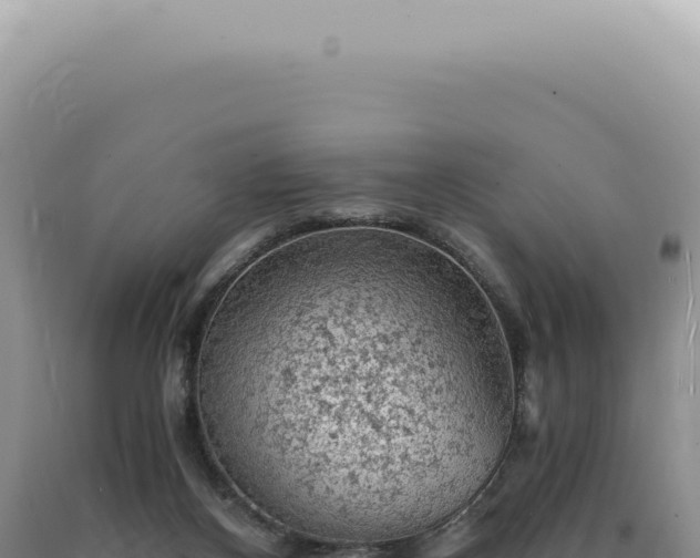 X0000090780116200707271557
