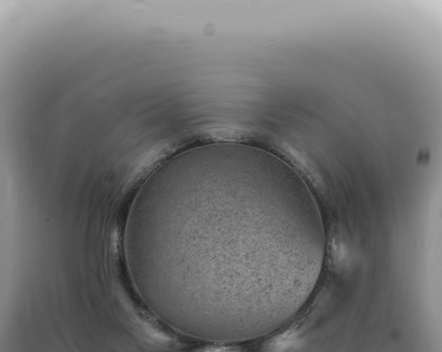 X0000090780117200707271557