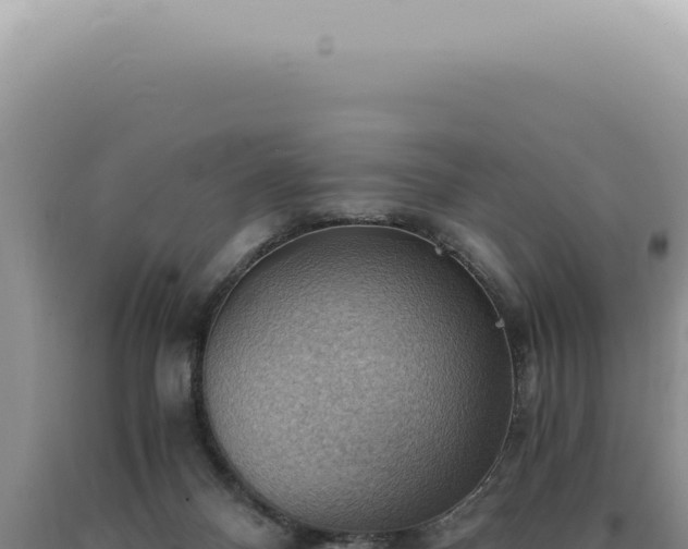 X0000090780120200707271557
