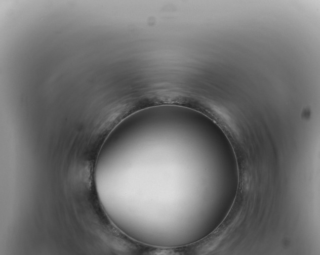 X0000090780121200707271557